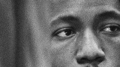 Imagem da notícia Olhar de Cinema 2017: Parque Tonsler provoca o espectador e questiona a linguagem do cinema