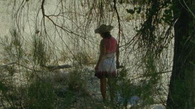 Olhar de Cinema 2017: Filme poético sobre a fronteira entre Estados Unidos e México se destaca na mostra competitiva