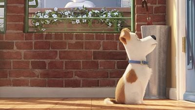 Imagem da notícia Pets - A Vida Secreta dos Bichos chega ao Telecine Play