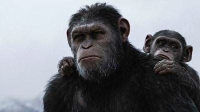 Bilheterias Brasil: Planeta dos Macacos - A Guerra lota os cinemas