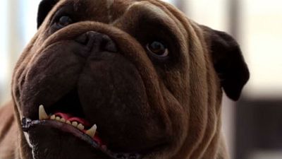 Imagem da notícia Inumanos ganha trailer final ao som de Imagine Dragons