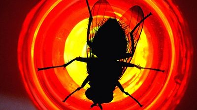 Imagem da notícia 10 ‘episódios engarrafados’ marcantes das séries de TV