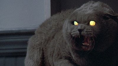 Imagem da notícia Cemitério Maldito: Remake da obra de Stephen King ganha data de estreia