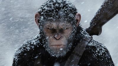 Planeta dos Macacos: Dan Lemmon, ganhador do Oscar de Efeitos Especiais, fala sobre as fronteiras entre o real e o digital (Entrevista Exclusiva)
