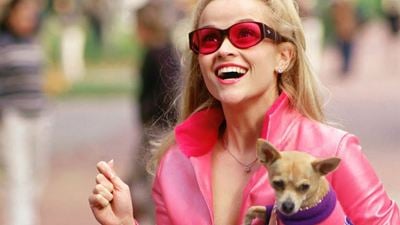 Dicas do Dia: Com Reese Witherspoon, o clássico dos anos 2000, Legalmente Loira, passa hoje na TV fechada