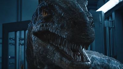 Imagem da notícia Jurassic World - Reino Ameaçado: O mundo é dos dinossauros no novo e dramático trailer da aventura