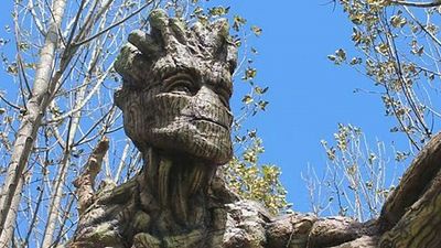 Imagem da notícia Diretor de Guardiões da Galáxia está maravilhado com esculturas gigantes do Groot