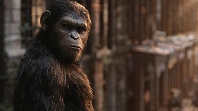 Imagem da notícia Dicas do Dia: Planeta dos Macacos: A Guerra é o destaque de hoje