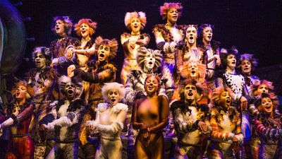 Imagem da notícia Cats: Adaptação musical com Taylor Swift ganha data de lançamento