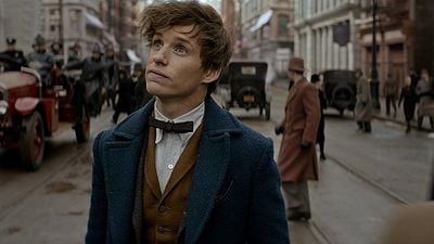 Imagem da notícia Dicas do Dia: Animais Fantásticos e Onde Habitam e Missão Impossível - Nação Secreta são os destaques de hoje