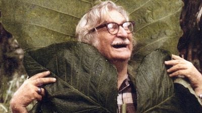 Imagem da notícia Filme Paisagem: Documentário sobre o artista Roberto Burle Marx ganha trailer (Exclusivo)