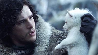 Imagem da notícia Game of Thrones: Após protestos de fãs, personagem estará de volta na temporada final