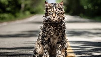 Imagem da notícia Cemitério Maldito: Remake do clássico de Stephen King ganha trailer e cartaz nacional