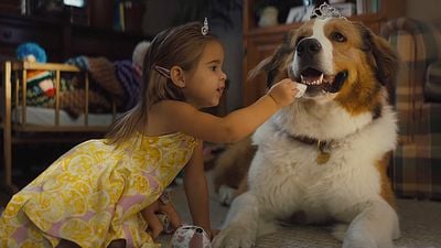 Imagem da notícia Juntos para Sempre: Sequência de Quatro Vidas de um Cachorro ganha trailer legendado