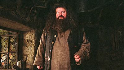 Imagem da notícia Parque da Universal em Orlando vai ganhar montanha-russa inspirada em Hagrid, personagem de Harry Potter