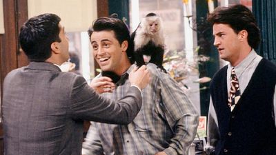 Imagem da notícia Matt LeBlanc revela que David Schwimmer não gostava de contracenar com o macaco de Friends