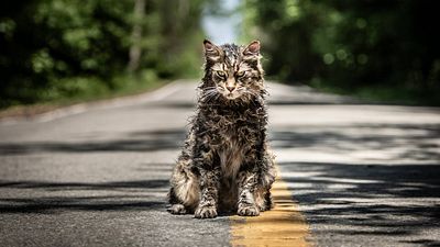 Imagem da notícia Cemitério Maldito: A história baseada em livro de Stephen King que vai te aterrorizar nos cinemas