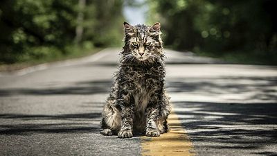 Imagem da notícia Os maiores filmes baseados em livros de Stephen King