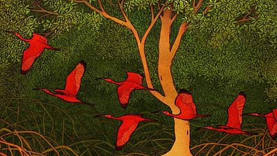 Imagem da notícia Anima Mundi lança campanha de crowdfunding para viabilizar 27ª edição