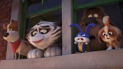 Imagem da notícia Pets - A Vida Secreta dos Bichos 2: Novo trailer destaca os medos e anseios dos animais de estimação
