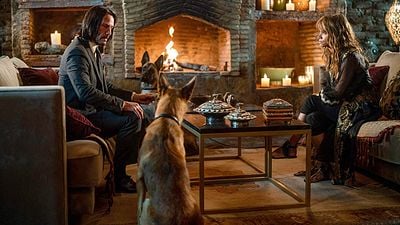 Imagem da notícia John Wick 3: Sequência de ação quase foi arruinada por causa de gatos
