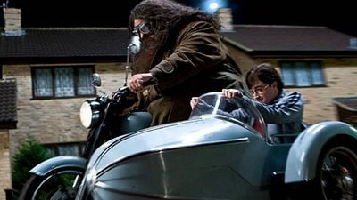 Imagem da notícia Hagrid ganhará maior montanha-russa da Flórida em parque da Universal 