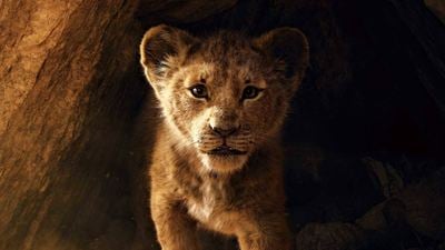 O Rei Leão: Simba, Mufasa, Timão e Pumba estampam novos cartazes nacionais