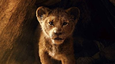 Imagem da notícia O Rei Leão: Simba, Mufasa, Timão e Pumba estampam novos cartazes nacionais