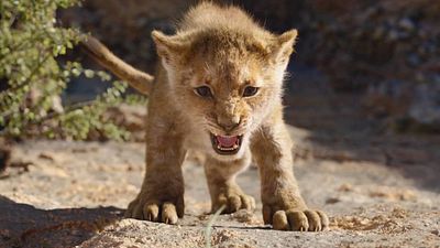 Imagem da notícia Homem e burro viralizam cantando música de O Rei Leão