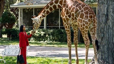 Imagem da notícia Briarpatch: Girafas, zebras e uma cidade estranha no trailer da nova série do criador de Mr. Robot