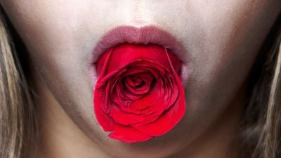 Imagem da notícia O Enigma da Rosa: Suspense espanhol ganha cartaz e trailer nacional (Exclusivo)