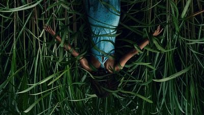 Imagem da notícia Campo do Medo: Netflix libera cartaz e foto de terror inspirado na obra de Stephen King