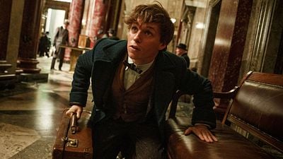 Imagem da notícia Animais Fantásticos 3: O que queremos ver do Brasil no filme