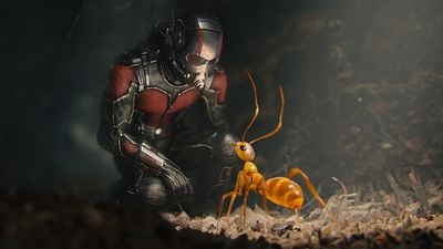 Imagem da notícia Dicas do Dia: O Rei do Show e Homem-Formiga são os destaques