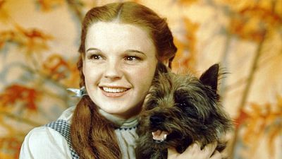 Imagem da notícia Totó: Roteirista de Aladdin está desenvolvendo musical sobre o cachorro de O Mágico de Oz