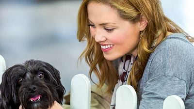 Imagem da notícia Um Amor Verdadeiro é o filme da Sessão da Tarde