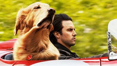 Imagem da notícia Meu Amigo Enzo estreia amanhã (23) no Telecine Premium