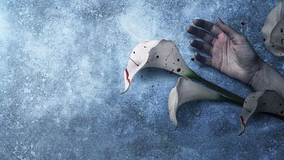 Imagem da notícia 5 séries nórdicas para quem gosta de drama policial