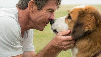 Imagem da notícia Sessão da Tarde (10/08 a 14/08): Filmes que a Globo irá exibir na semana