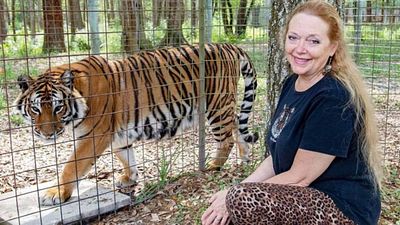 Imagem da notícia A Máfia dos Tigres: Família do marido desaparecido de Carole Baskin oferece recompensa por informações