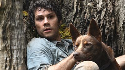 Imagem da notícia Amor e Monstros: Filme de Dylan O'Brien pode ganhar continuação na Netflix?