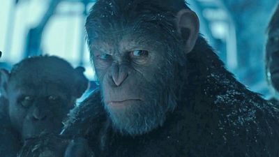 Imagem da notícia Planeta dos Macacos - A Guerra na Tela Quente (09/08): Acidente nas gravações foi incluído no filme; confira