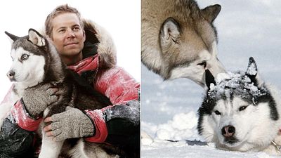 Imagem da notícia Resgate Abaixo de Zero: Filme estrelado por Paul Walker é baseado em fatos reais?