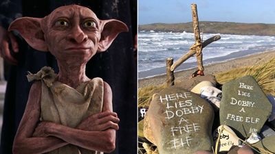 Harry Potter: Túmulo de Dobby pode ser removido de praia no País de Gales por motivo ligado aos fãs