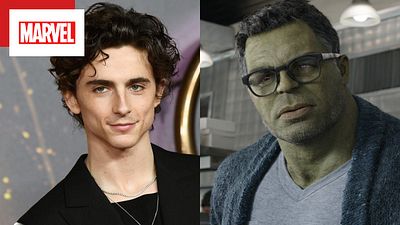 Imagem da notícia Após referência em Mulher-Hulk, Mark Ruffalo cita Timothée Chalamet ao abordar nova mudança de atores para Hulk