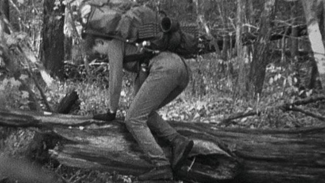 Imagem da notícia Hoje na Netflix: Este clássico do terror marcou um ponto de virada – um exercício de pura tensão que revolucionou o gênero com recursos mínimos