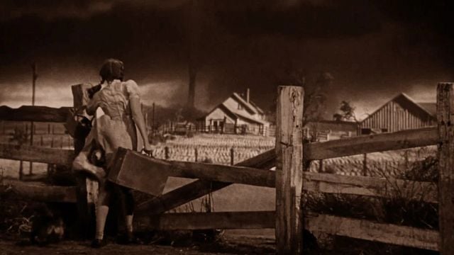 Imagem da notícia "Ainda estou extasiado": É o melhor filme da história do cinema para James Cameron – não é ficção científica ou ação