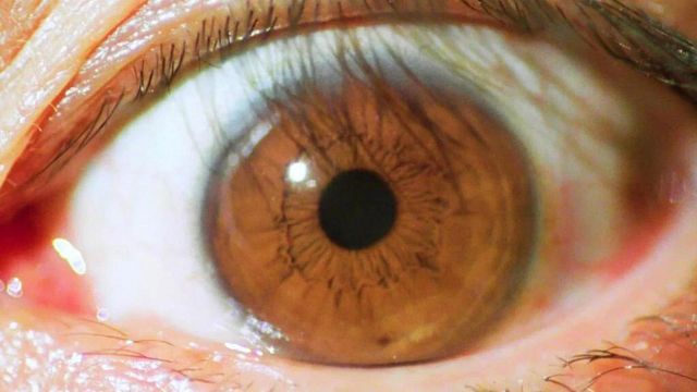 Imagem da notícia Steven Spielberg queria refazer um dos melhores filmes de todos os tempos: Will Smith seria o protagonista