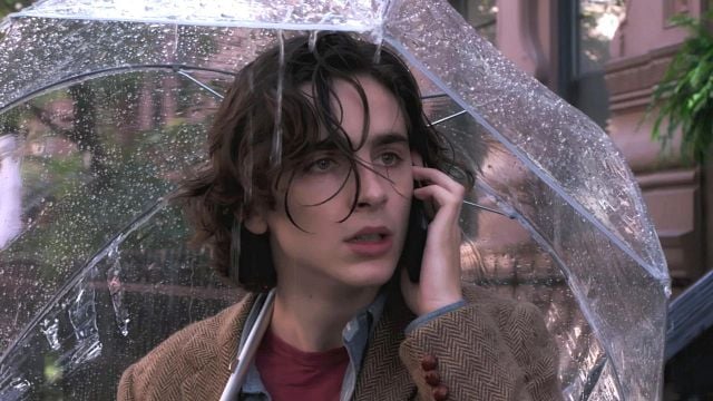 Imagem da notícia "Não quero lucrar com meu trabalho": Timothée Chalamet se arrependeu de ter feito este filme e largou mão de seu salário