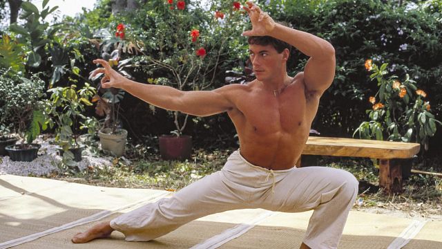 Imagem da notícia "Ele era duro como um poste, míope como uma toupeira, feio como um piolho": As palavras que atingiram Van Damme antes de se tornar um ícone da ação